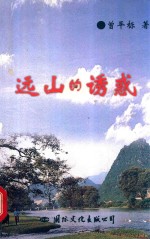远山的诱惑 谨以此书献给连平县改革开改二十年