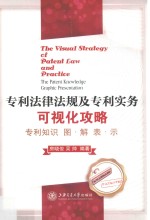 专利法律法规及专利实务可视化攻略 专利知识图解表示