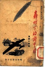 轰炸下的南中国