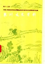 泉州文史资料 新13辑