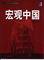 宏观中国