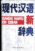 现代汉语新辞典