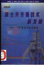深立井开凿技术新发展 1996-1999年学术论文精选