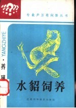 水貂饲养