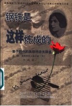 钢铁是这样炼成的 妻子眼中的奥斯特洛夫斯基