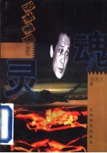 没有家园的灵魂 王建业 原深圳市计划局财贸处处长 特大受贿案探微