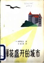 鲜花盛开的城市