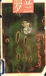 芊芊青草