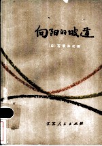 向阳的坡道