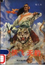 奇侠飞天豹