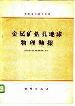 金属矿钻孔地球物理勘探