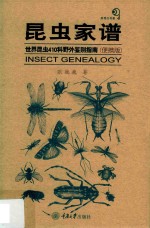昆虫家谱 世界昆虫410科野外鉴别指南 便携版