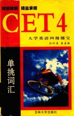 大学英语四级题宝 单挑词汇