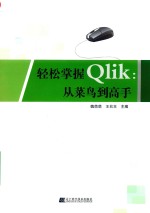 轻松掌握Qlik