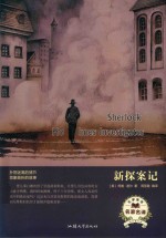 新探案记