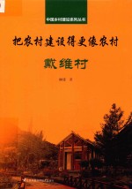 中国乡村建设系列丛书 把农村建设得更像农村 戴维村