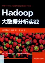 Hadoop大数据分析实战
