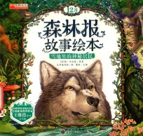 雪地里的神秘居民 12月