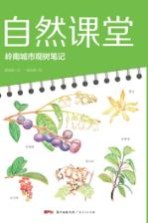 自然课堂 岭南城市观树笔记