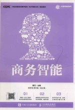 商务智能