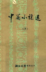 中篇小说选 下