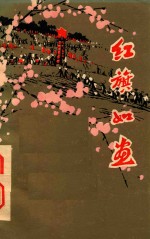 红旗如画 学大寨的故事