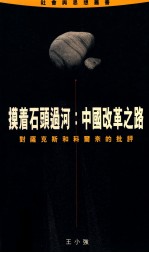 摸着石头过河 中国改革之路 对萨克斯和科尔奈的批评