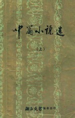 中篇小说选 上