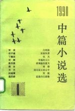 1990年中篇小说选 第一辑