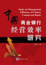 中国商业银行经营效率研究