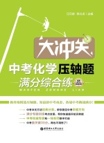 中考化学压轴题 满分综合练