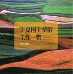 宁夏国土整治工作一瞥
