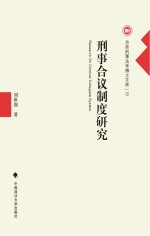 京师刑事法学博士文库 刑事合议制度研究