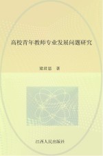 高校青年教师专业发展问题研究
