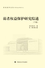 弱者权益保护研究综述 下