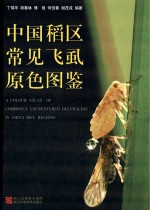 中国稻区常见飞虱原色图鉴