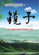 镜子：南宁市直机关优秀共产党员报告文学集
