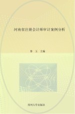 河南省注册会计师审计案例分析