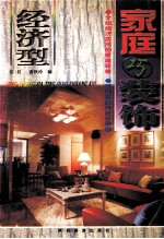 经济型家庭巧装饰