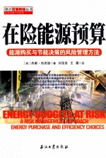 在险能源预算 能源购买与节能决策的风险管理方