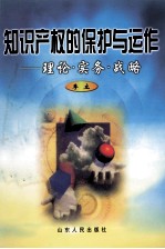 知识产权的保护与运作 理论·实务·战略