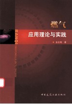 燃气应用理论与实践