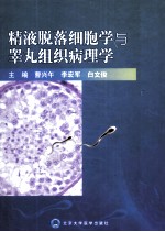 精液脱落细胞学与睾丸组织病理学