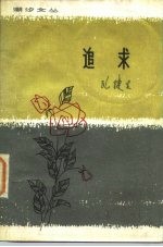追求 短篇小说集