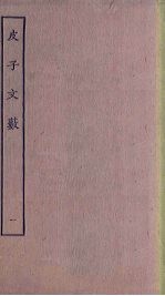 皮子文薮 1