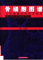 骨细胞图谱与骨细胞体外培养技术