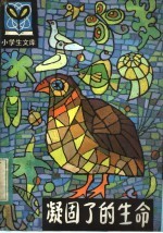 凝固了的生命