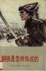 钢铁是怎样炼成的