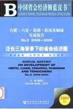 合肥、六安、巢湖、淮南及桐城发展报告 No.2（2008-2009） 泛长三角背景下的省会经济圈