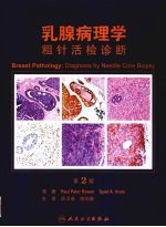 乳腺病理学:粗针活检诊断 第2版